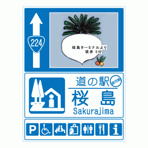 桜島 